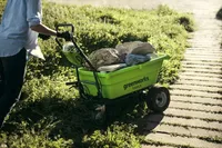 Greenworks G40GC (11 von 21)