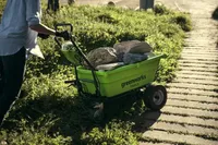 Greenworks G40GC (12 von 21)