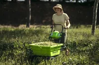 Greenworks G40GC (14 von 21)