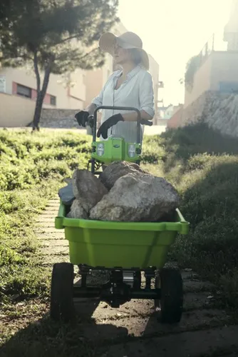 Greenworks G40GC (15 von 21)