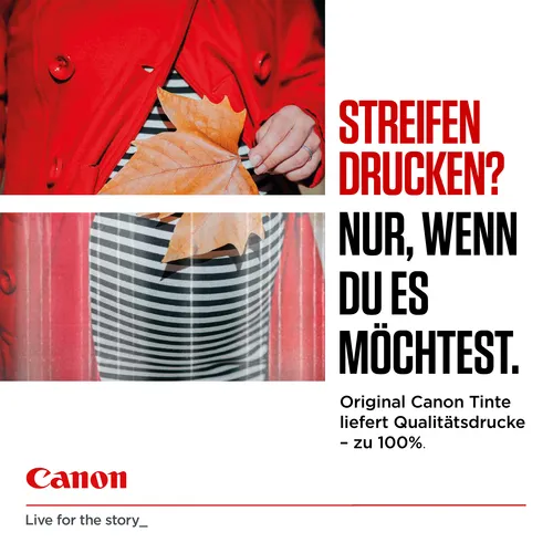 Canon PG-540 + CL-541 Druckköpfe + Fotopapier, 2er-Set (3 von 10)