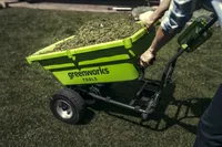 Greenworks G40GC (3 von 21)