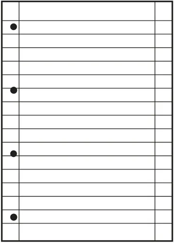 Oxford Ringbucheinlagen DIN A4 liniert 50 Blatt Lineatur 27 (3 von 4)