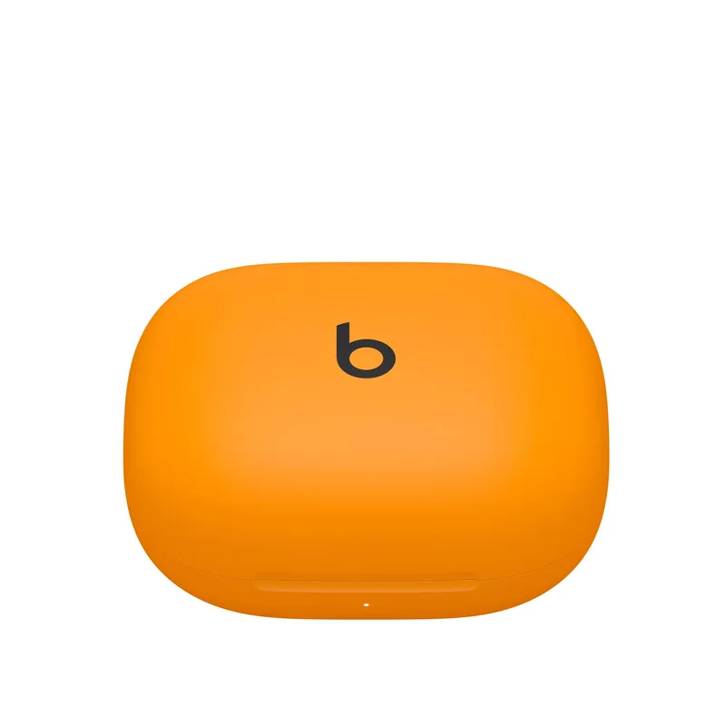 Apple Powerbeats Pro 2 (28 von 29)