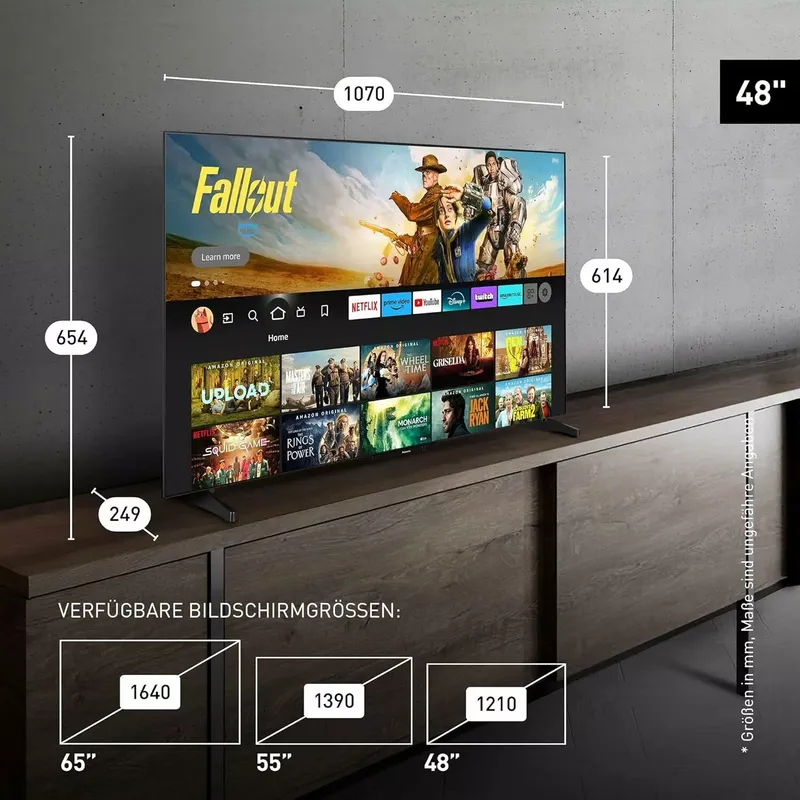 Panasonic TV-48Z80BEZ (4 von 6)