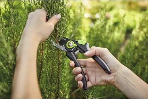 Gartenschere, Rosenschere for_q, Bypass (4 von 4)