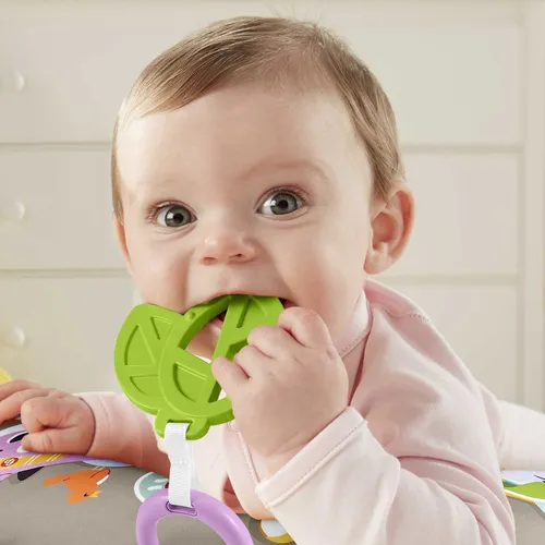 Fisher-Price Faultierspielkissen (4 von 7)