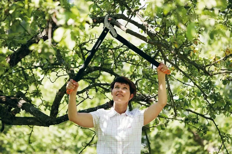 Fiskars Astschere PowerGear II L77 (4 von 7)