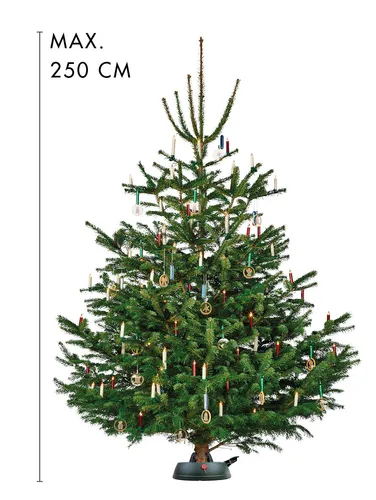 Krinner Christbaumständer Comfort Grip M Grün (5 von 10)