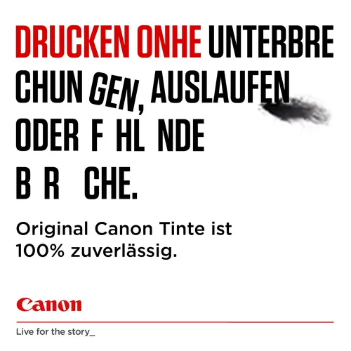 Canon PG-540 + CL-541 Druckköpfe + Fotopapier, 2er-Set (5 von 10)