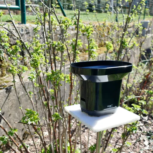 TFA Dostmann Funk-Regenmesser DROP (5 von 11)