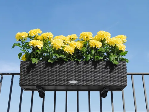 Lechuza Halter schwarz für Balconera Balkonkästen 19033 Balkonkastenhalter (6 von 7)