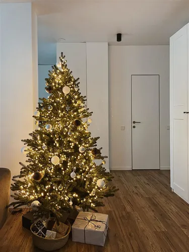 Krinner Christbaumständer grün (7 von 9)
