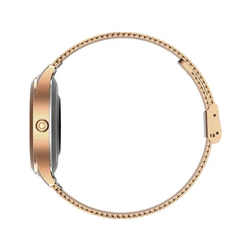 Maxcom FW42 Gold (7 von 8)
