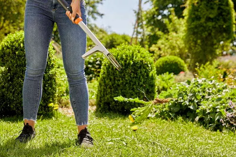 Gardena Unkrautstecher (03518-20) (7 von 7)