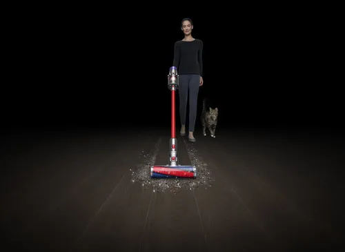Dyson V11 Fluffy (10 von 10)