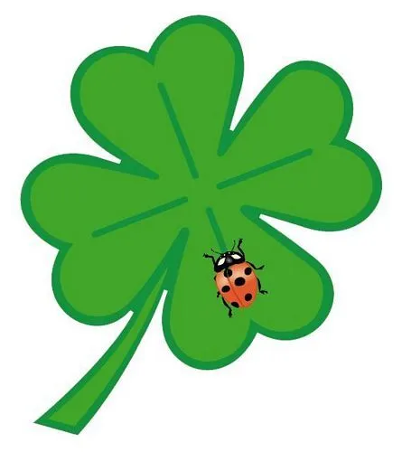 Kleeblatt Käfer Autoaufkleber