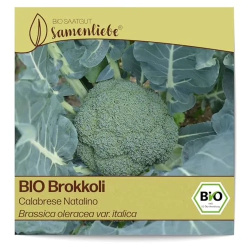 Samenliebe BIO Brokkoli Samen alte Sorte Calabrese Natalino milder italienischer Broccoli Kohl grün 120 Samen samenfestes Gemüse Saatgut für Gewächshaus Freiland und Balkon BIO Gemüsesamen