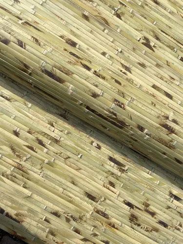 Wandverkleidung aus massiven Bambuslatten in grün von Nature-Lounge