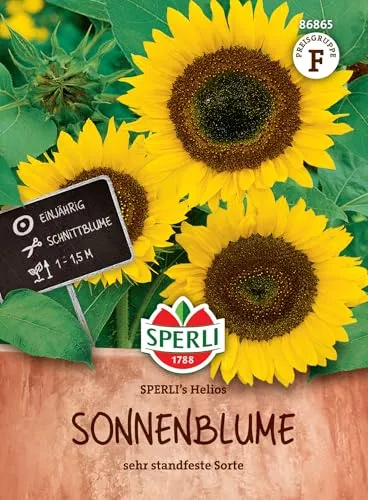 Sperli Sonnenblumensamen SPERLI's Helios 86865 - Halbhohe, standfeste Sonnenblumen ideal für Zäune & Beete - Perfekt zum Schnitt & Vogelfütterung - Sonnenblumensamen kaufen