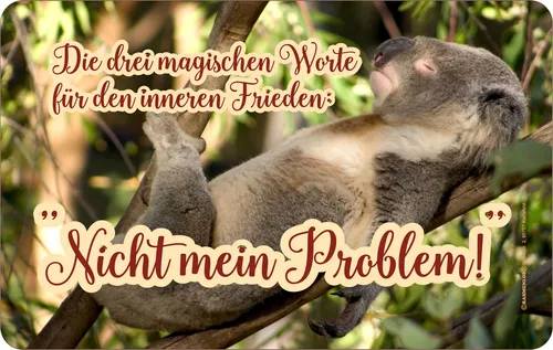 Frühstücksbrettchen - Fun - Nicht mein Problem - Größe 23,5x14,5 cm