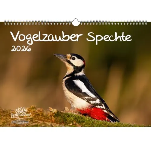 Vogelzauber Spechte DIN A3 Kalender für 2026 Vogel - Seelenzauber