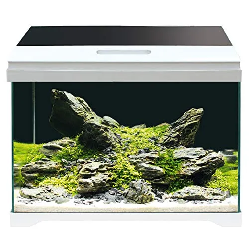 Amtra MODERN Tank 40 LED - Aquarium komplett mit LED-Beleuchtung und Innenfilter/cm 42,5x23,5x36,5/28 Liter