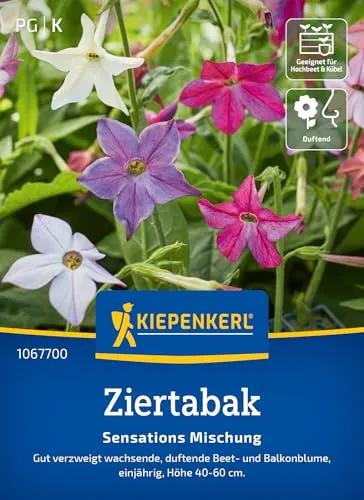 Kiepenkerl Ziertabaksamen Sensations Mischung 1067700