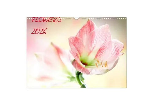Flowers / 2026 Wandkalender von Axel und Max Waldecker - Schöner Blumenkalender mit 12 einzigartigen Motiven im DIN A3 Querformat, ideal für Kunst- und Fotografie-Liebhaber.