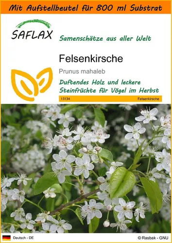 SAFLAX Blumensamen SAFLAX - Garden in the bag - Felsenkirsche