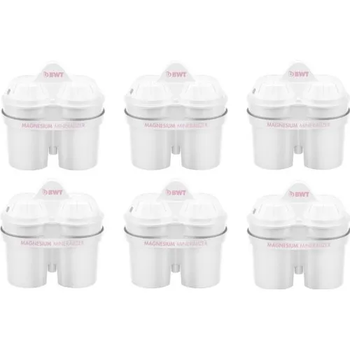 BWT Magnesium Mineralizer (6 x) (814135) von BWT