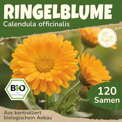 Saatgut von Little Plants