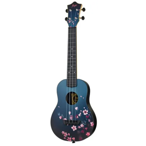 TUC-32 Sakura Concert Travel