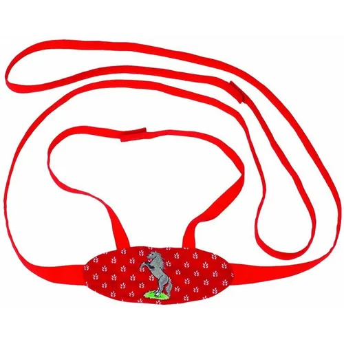 Goki Pferdeleine Pferdegeschirr mit Bestickung - einfach anlegbar, mit Sicherheitsklettverschlüssen für sicheren Ausritt