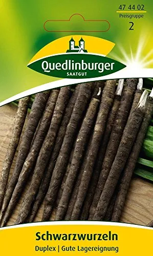 Quedlinburger Schwarzwurzel Sorte Duplex - Scorzonera hispanica / gute Lagerung / Ernte September bis April