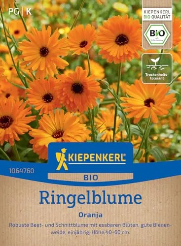 Kiepenkerl Ringelblumensamen Oranja 1064760 - Leuchtende essbare Blüten als Beet & Schnittblume geeignet - Wildblumensamen, Blumenwiese, Saatgut