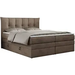 MKS Boxspringbett 200x200 cm, Braun, 2-Sitzer, H3