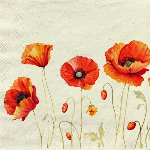 Servietten nachhaltig Gras Poppies on Grass Mohnblumen Zart rot Deko 33x33cm 20
