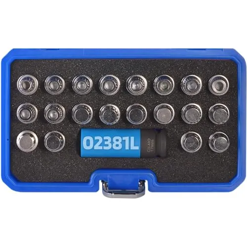 SW-Stahl 02381L Felgenschloss Demontage Set 21-teilig für BMW