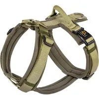 Rudelkönig Hundegeschirr Bella - Gepolstertes Y-Design Geschirr für kleine und mittelgroße Hunde - Brustgeschirr für Hunde, ergonomisches Y-Design mit weicher Neopren-Polsterung für optimalen Tragekomfort und gleichmäßige Zugkraftverteilung. Ideal für sportliche Aktivitäten und unvergessliche Spaziergänge.