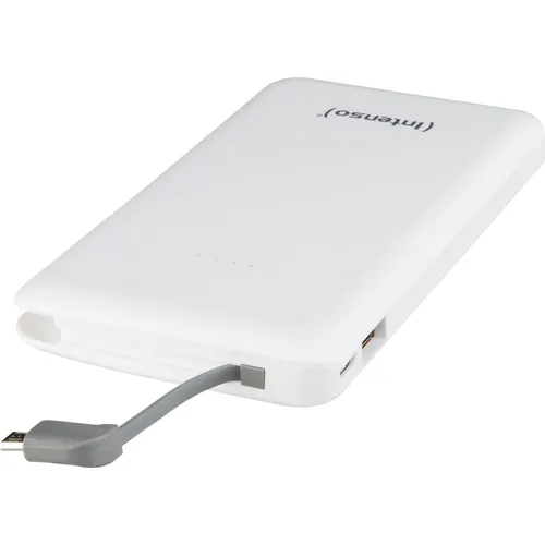 Intenso S5000 (5000 mAh, 18.50 Wh) (7332520)
