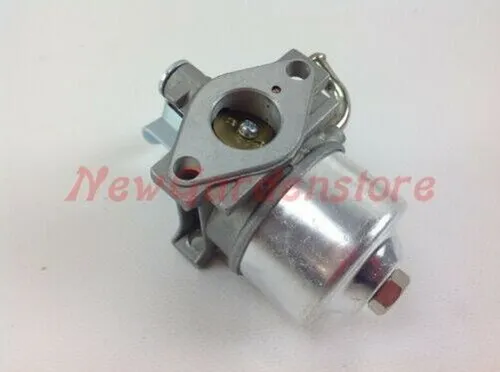 Vergaser Mit Schwimmer ROBIN Rasenmäher EY 20 008379