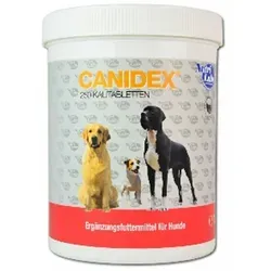 Kautabletten Canidex 250 für Hunde - Tiergesundheit: Ergänzungsfuttermittel zur Unterstützung des Gelenkstoffwechsels, mit Glykosaminoglykanen und pflanzlichen Extrakten für das Wohlbefinden Ihres Hundes.