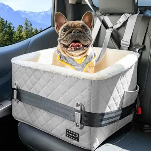 PETSFIT Hunde Autositz erhöht 12.5cm, Hundesitz Auto Rückbank mit Sicherheitspatent, Hundeautositz mit abnehmbarem Plüschbezug, Hundekorb Auto für kleine Hunde bis 12kg, Beifahrersitz & Rückbank