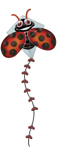 Eolo Sports 110620-001 Pop up Diamond Lady Bug Kite
