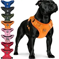 Reichstadt Hunde-Geschirr RS Pets Norwegergeschirr 25RSP083, Polyester, atmungsaktives Netzgewebe und robuster Oxford-Stoff orange S