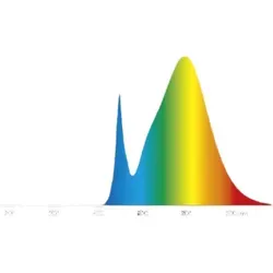 Radium Leuchtmittel von Radium
