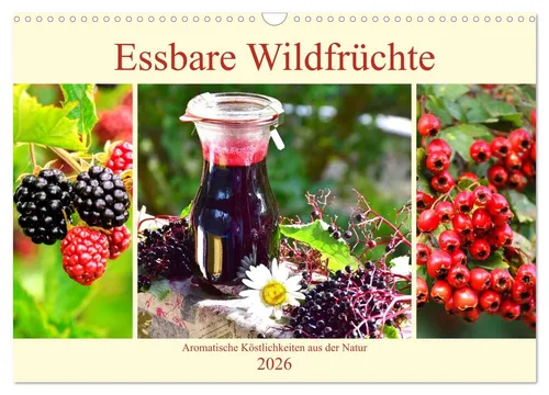 Essbare Wildfrüchte. Aromatische Köstlichkeiten aus der Natur (Wandkalender 2026