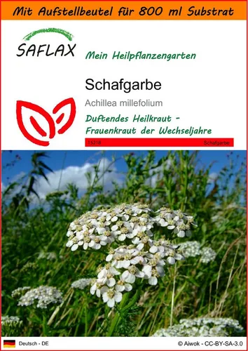 SAFLAX Blumensamen SAFLAX - Garden in the bag - Schafgarbe