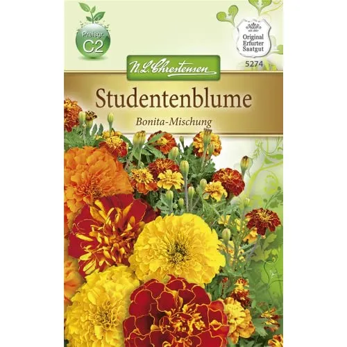 Chrestensen Studentenblume 'Bonita-Mischung'